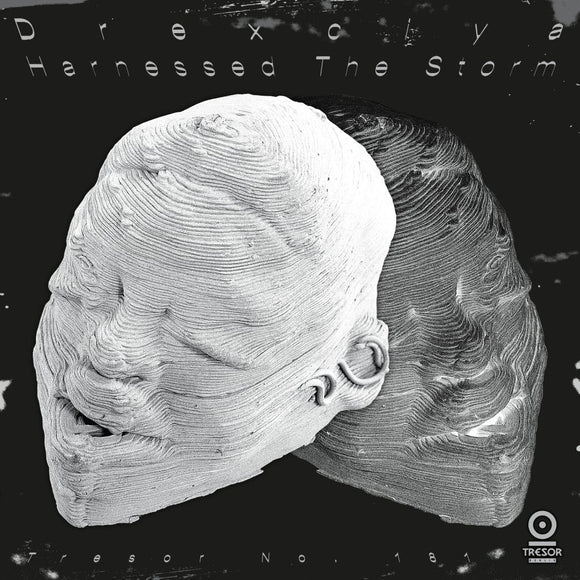 Drexciya - Harnessed The Storm (2LP / white vinyl)