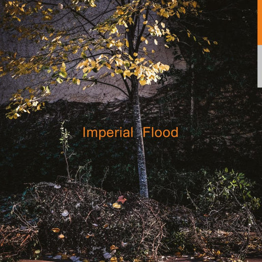 LOGOS - Imperial Flood