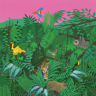 TURNOVER - GOOD NATURE [CD]