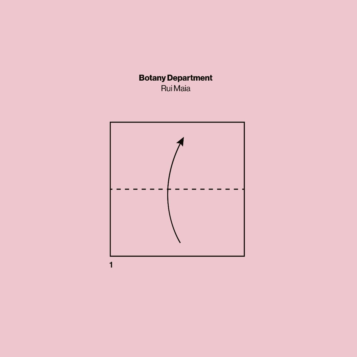 RUI MAIA - Botany Department LP