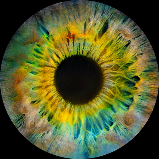 Memphis - Essences EP