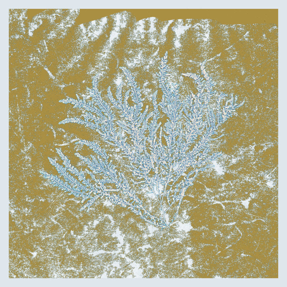 Huerco S - For Those Of You Who Have Never (And Also Those Who Have) [Black Vinyl Repress]