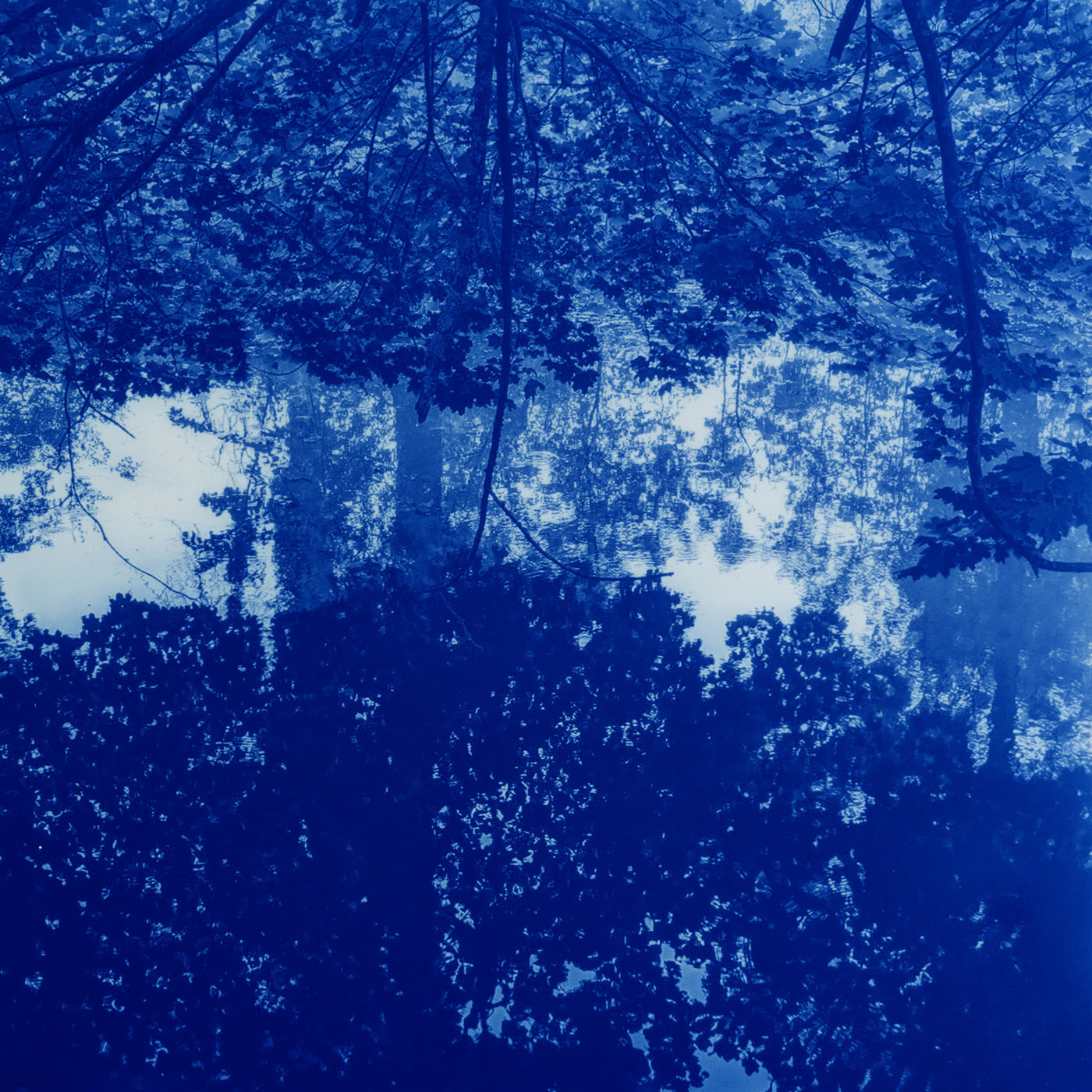 Kaltès - La pluie d'été