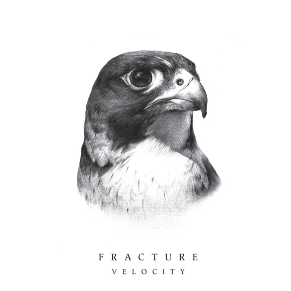 Fracture - Velocity EP (ft Nah Eeto) (1 per person)