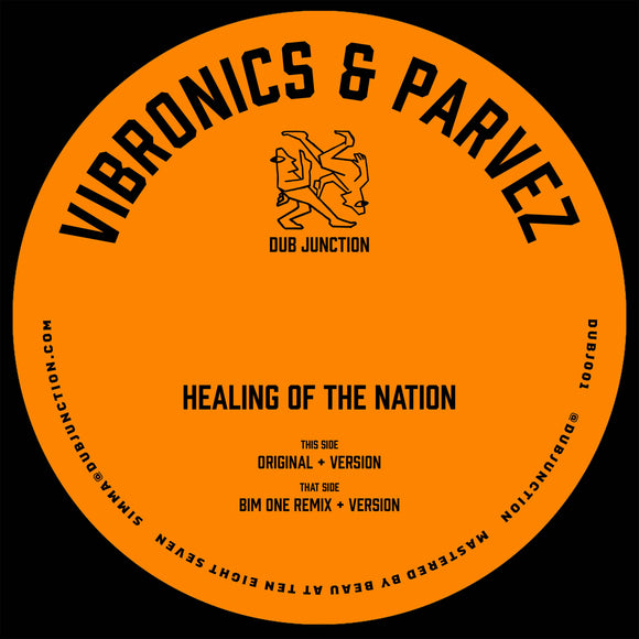 Vibronics & Parvez - Healing Of The Nation (Incl. Bim One Remix)