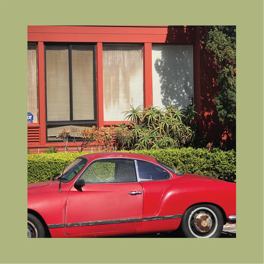 The Reds, Pinks and Purples - The Town That Cursed Your Name [CD]