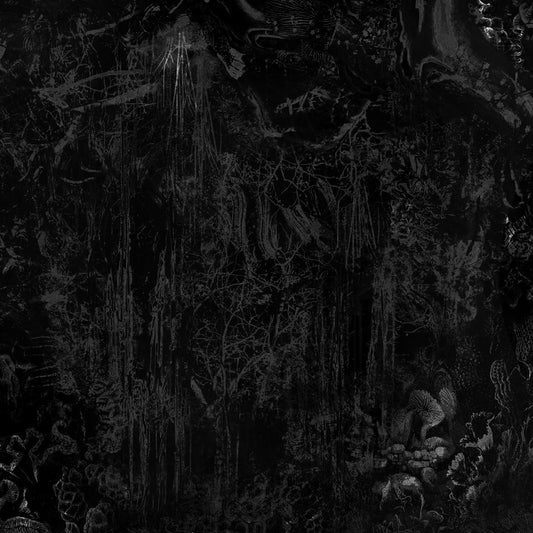 Vādin - Black Tortoise