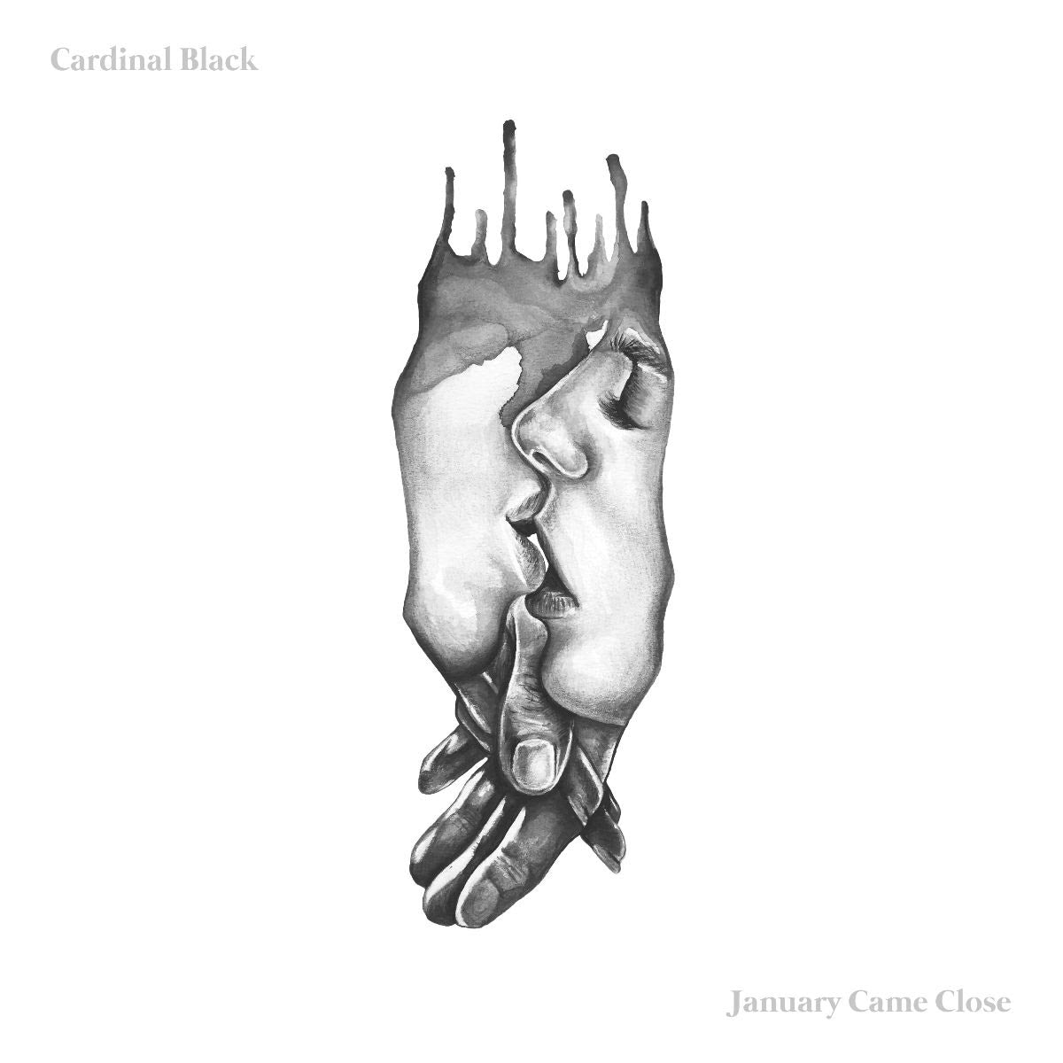 Cardinal Black - January Came Close [2LP]