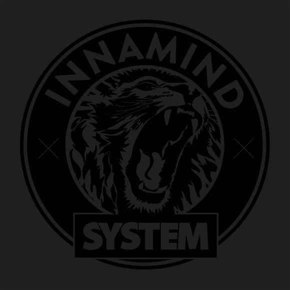 Various Artists - INNASYSTM001 [2x12