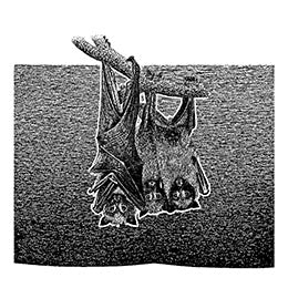 MTv - Hollywood EP #1