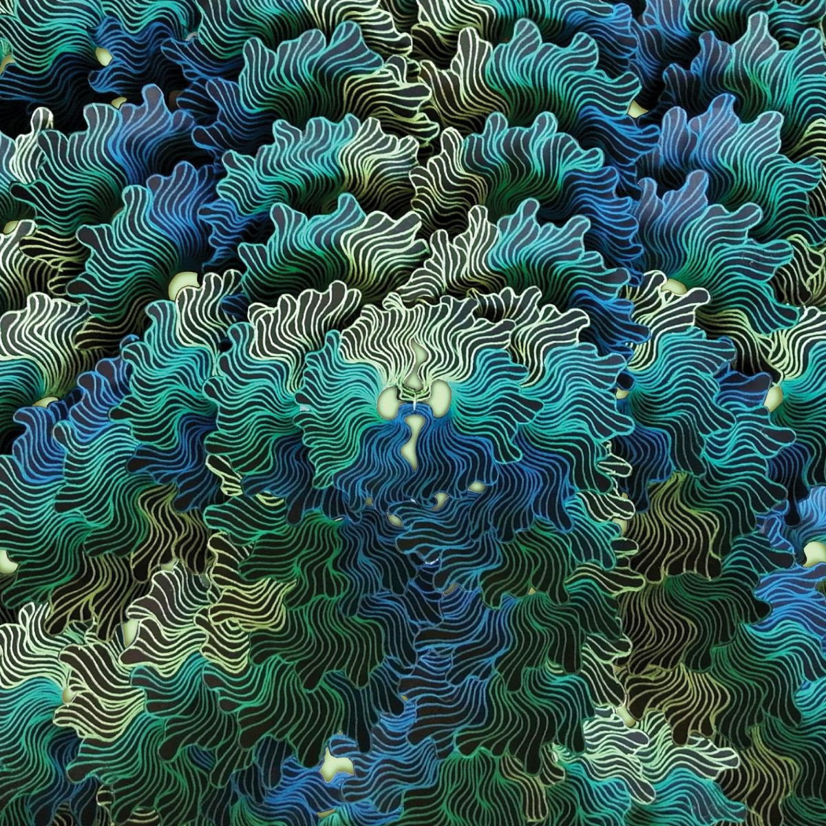 IzangMa - Ngo Ma [CD]