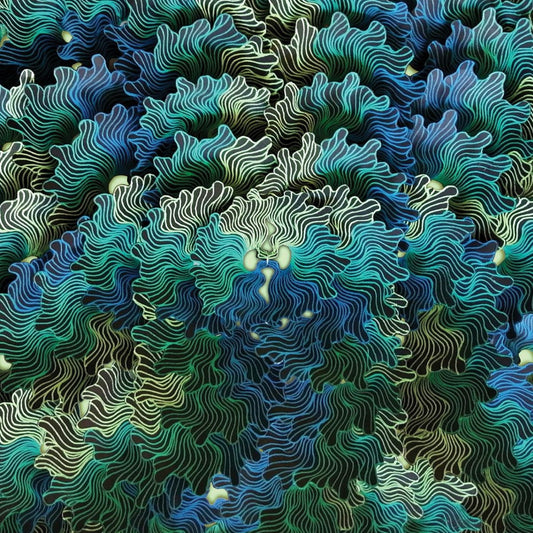 IzangMa - Ngo Ma [CD]