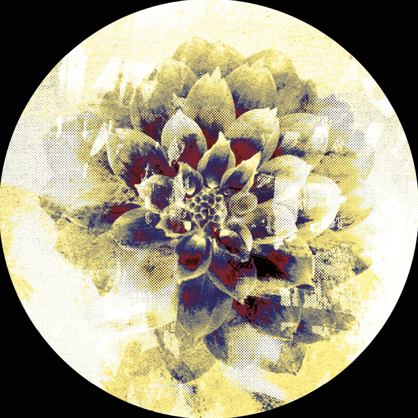 Various Artists - Infernal Sounds presents:  IFSDIGIV001