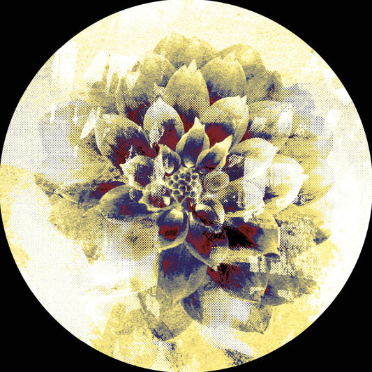 Various Artists - Infernal Sounds presents:  IFSDIGIV001