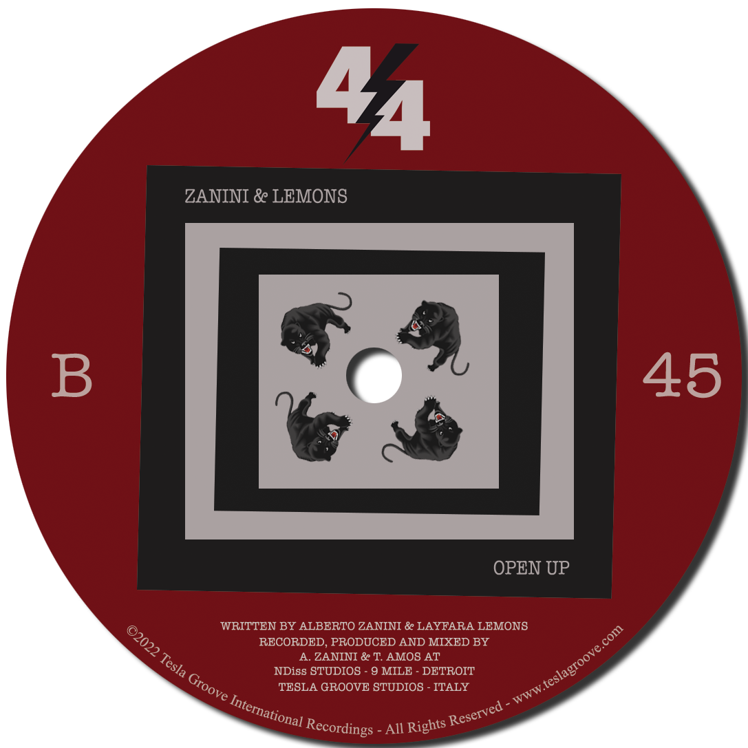 Zanini & Lemons  - Soulful Life