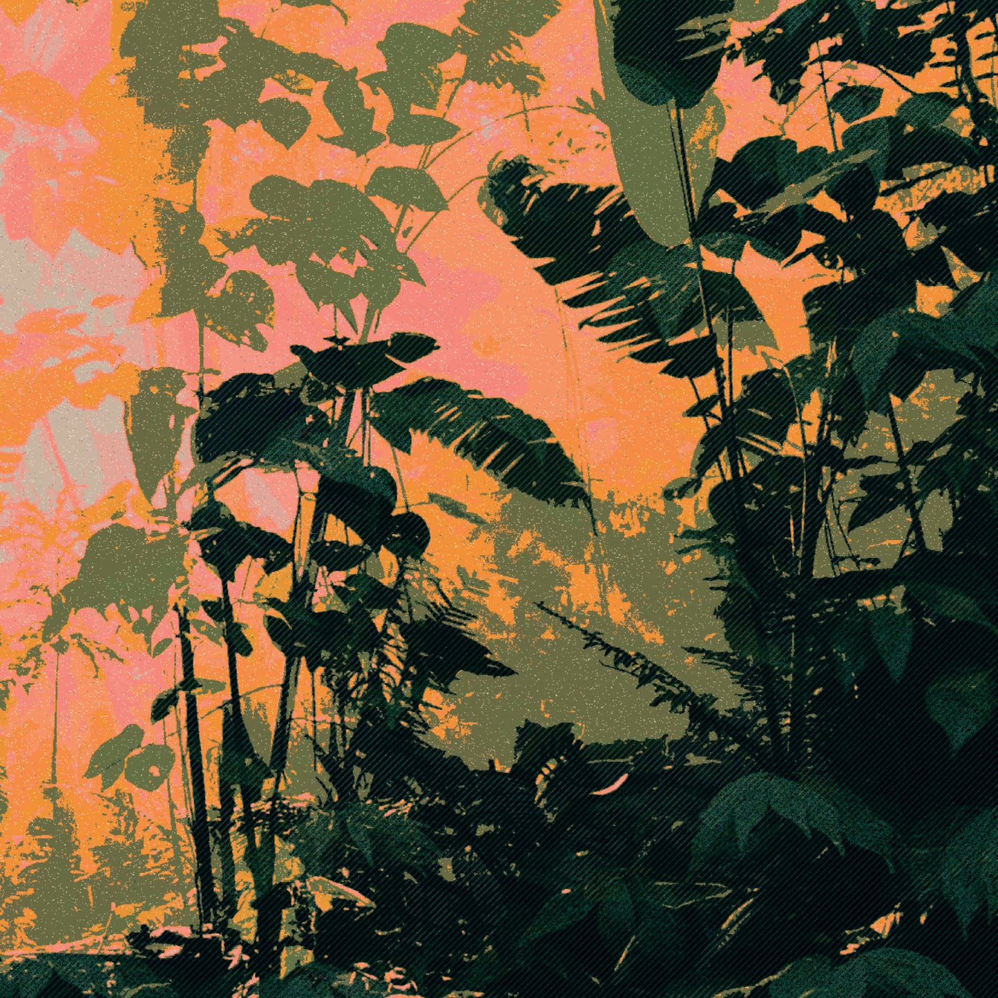 Tim Jackiw - Amnesia