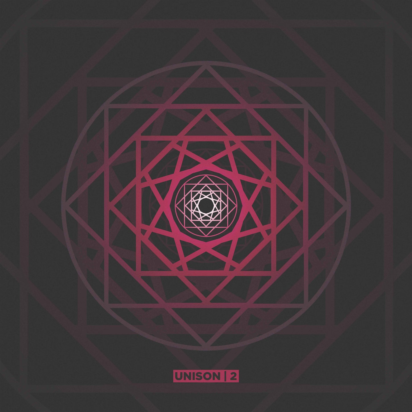 Various Artists - UNISON 2 [12" Black Vinyl]