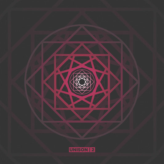 Various Artists - UNISON 2 [12" Black Vinyl]