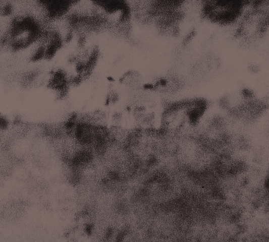 The Humble Bee - Light Trespassing