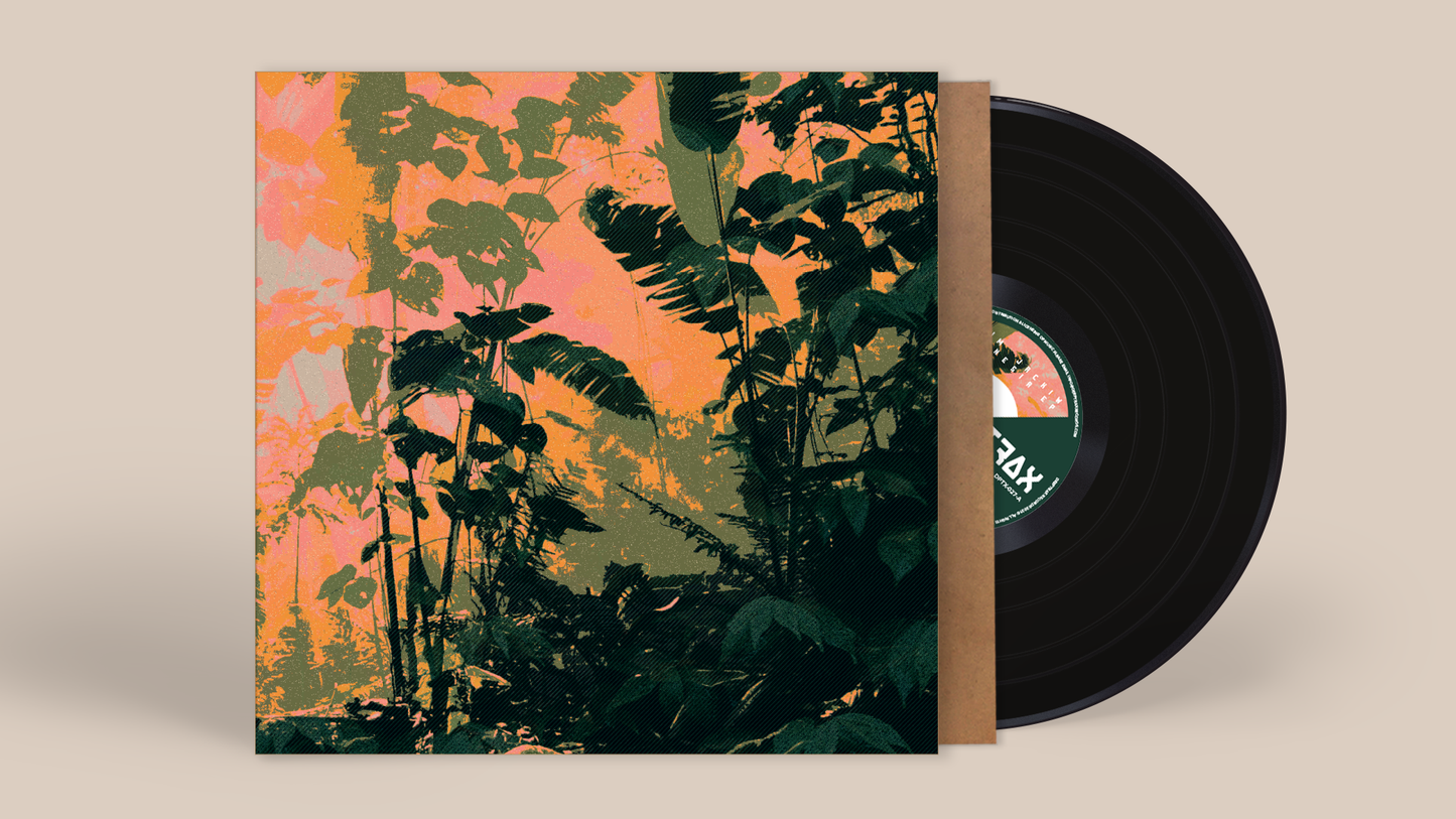 Tim Jackiw - Amnesia