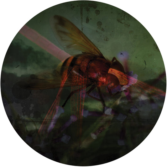 ADJ / Adrien d'Elzius - ARKADA004