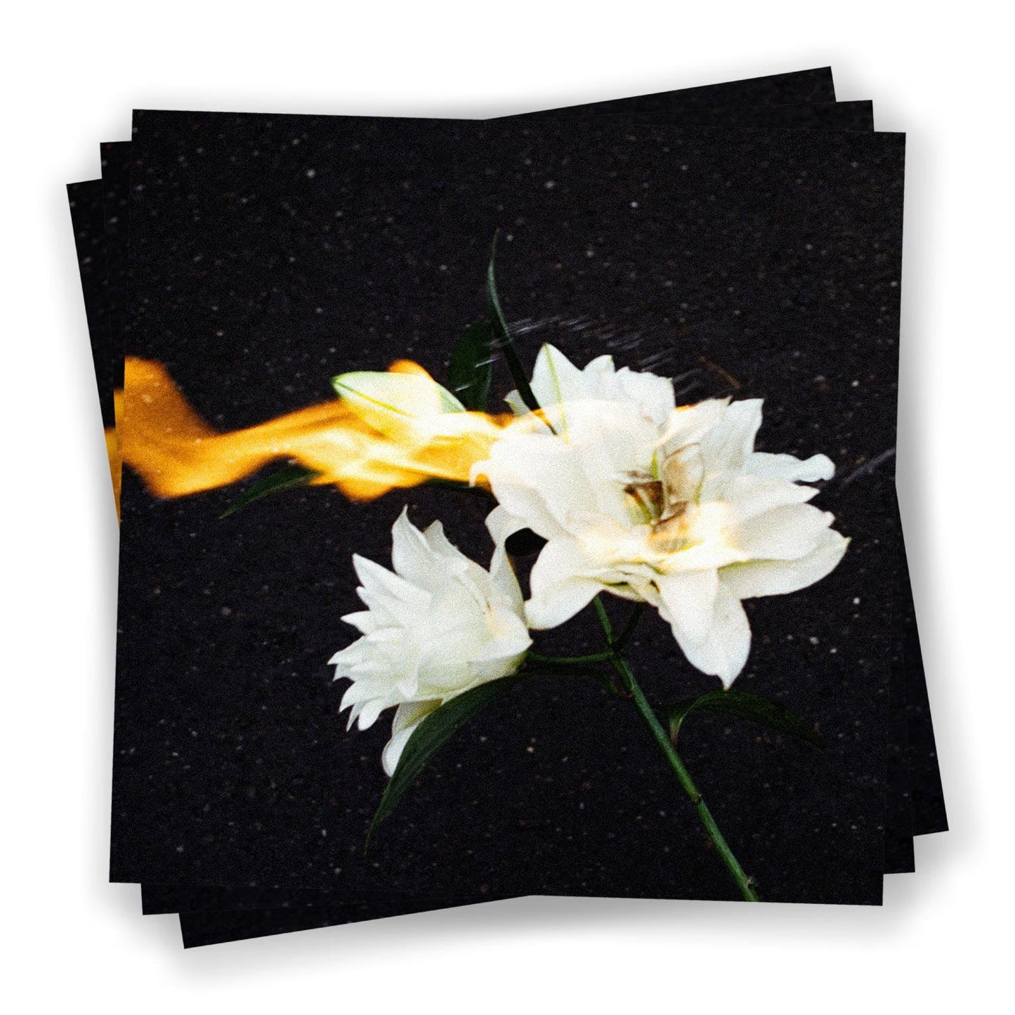 Aperture - Stanze [Clear Vinyl]