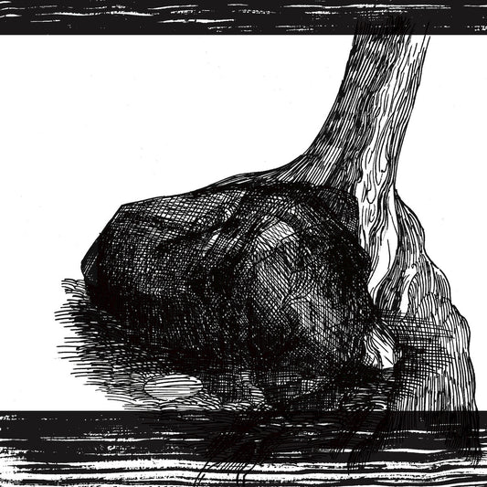 BROOD X CYCLES - SLEEP NAMELESS FEAR