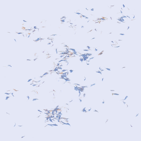 ULLA - Tumbling Towards A Wall [White Vinyl]