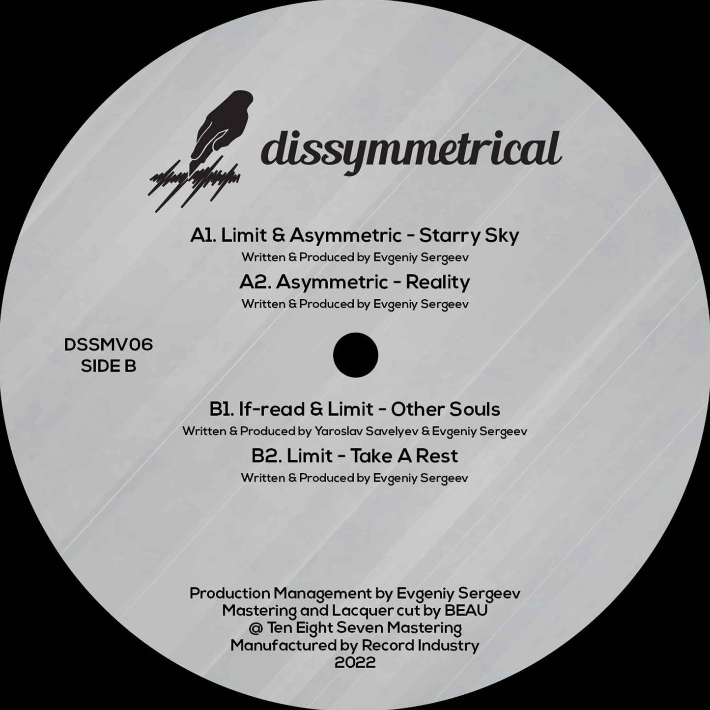 Various Artists - Dissymmetrical Vinyl 06