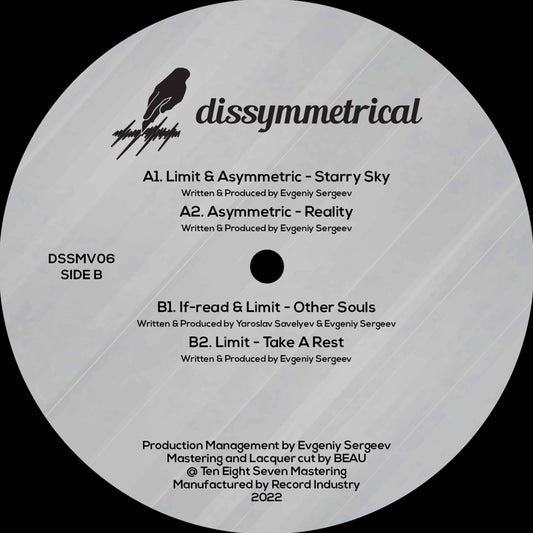 Various Artists - Dissymmetrical Vinyl 06