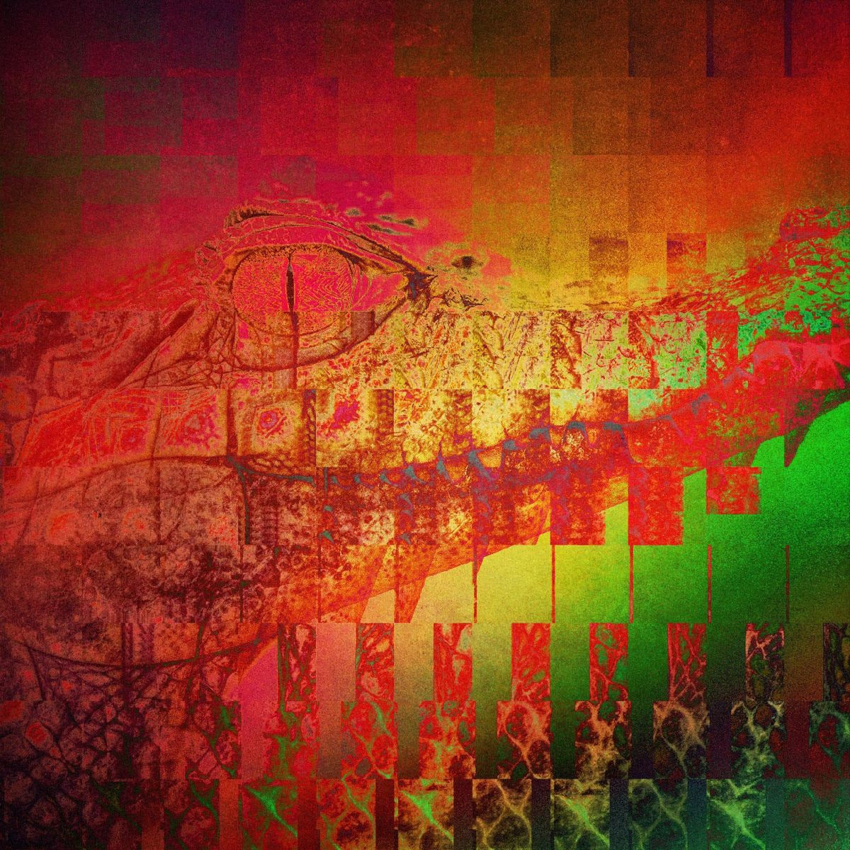 Cluekid - Alligator EP