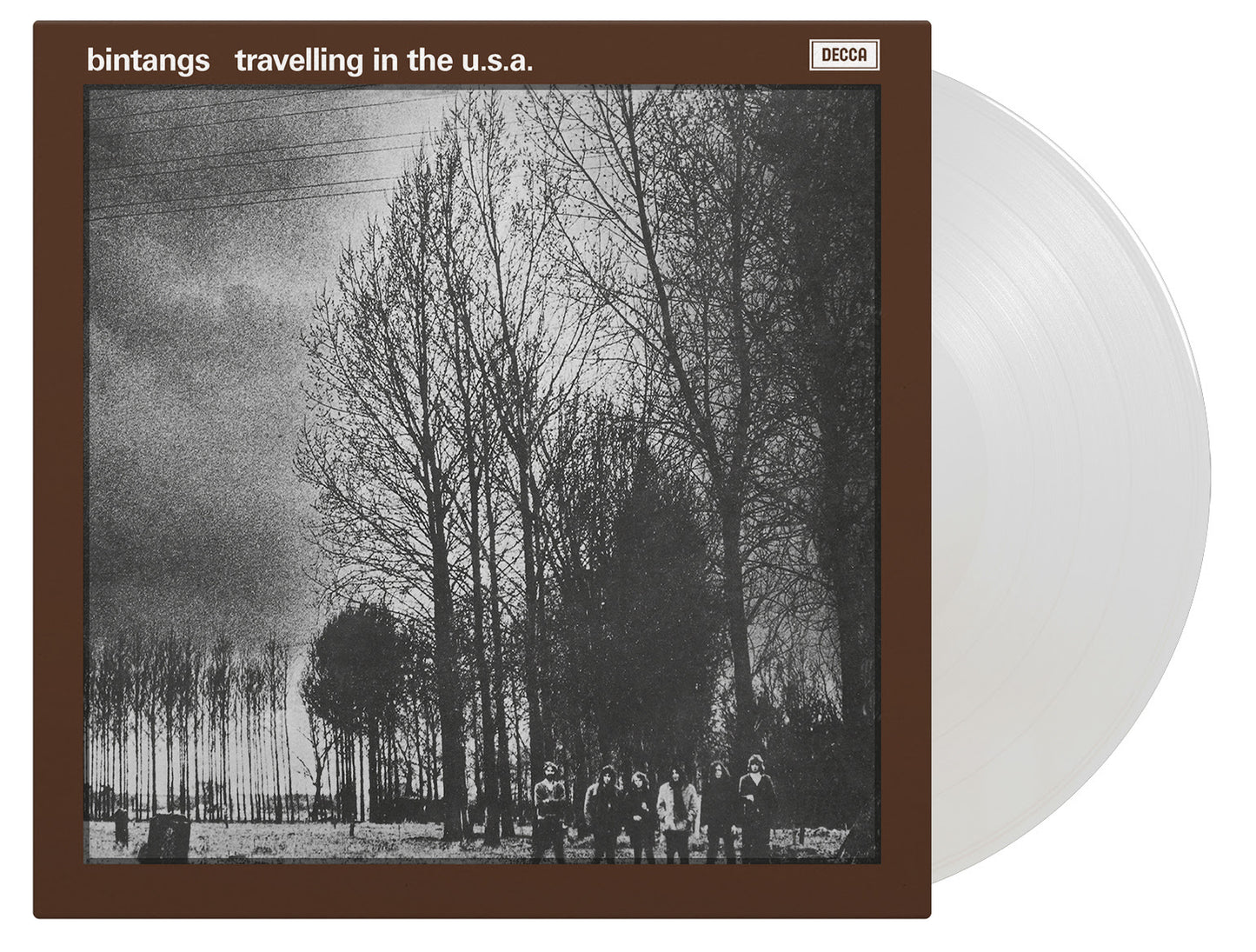Bintangs - Travelling In The USA (1LP Coloured)