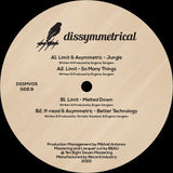 Limit, Asymmetric & If-Read - Dissymmetrical Vinyl 05