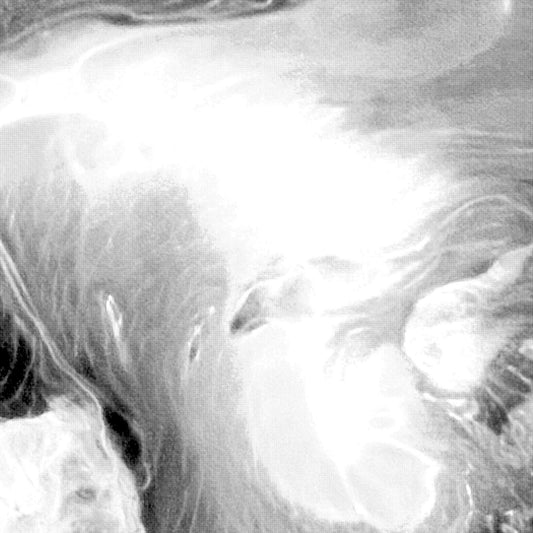 Bog Bodies - Bog Bodies