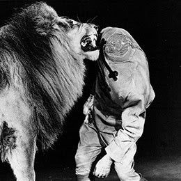 Anthony Naples - Zipacon