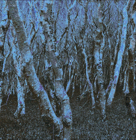 E.L.I. - Malicious Content