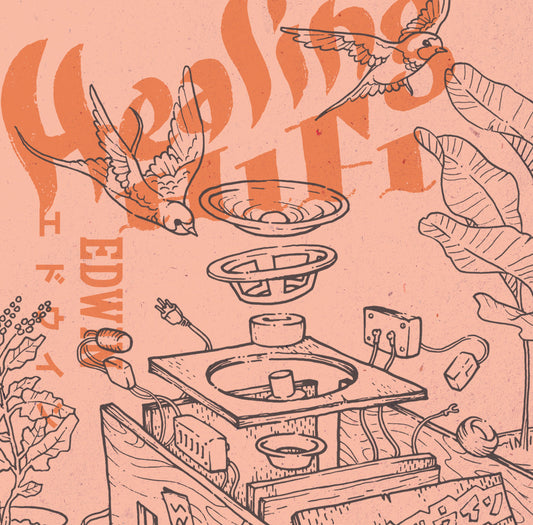 Seekers International - Healing HiFi [Casette]