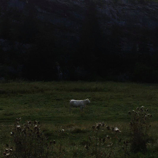 Ulla - Limitless Frame