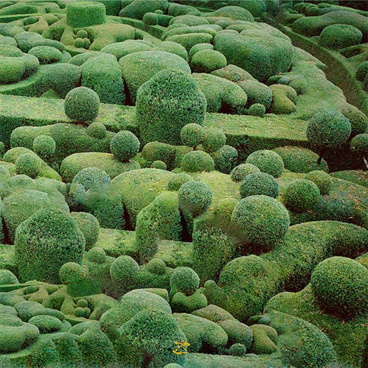 A2iCE & BO3 - Extracted Soil