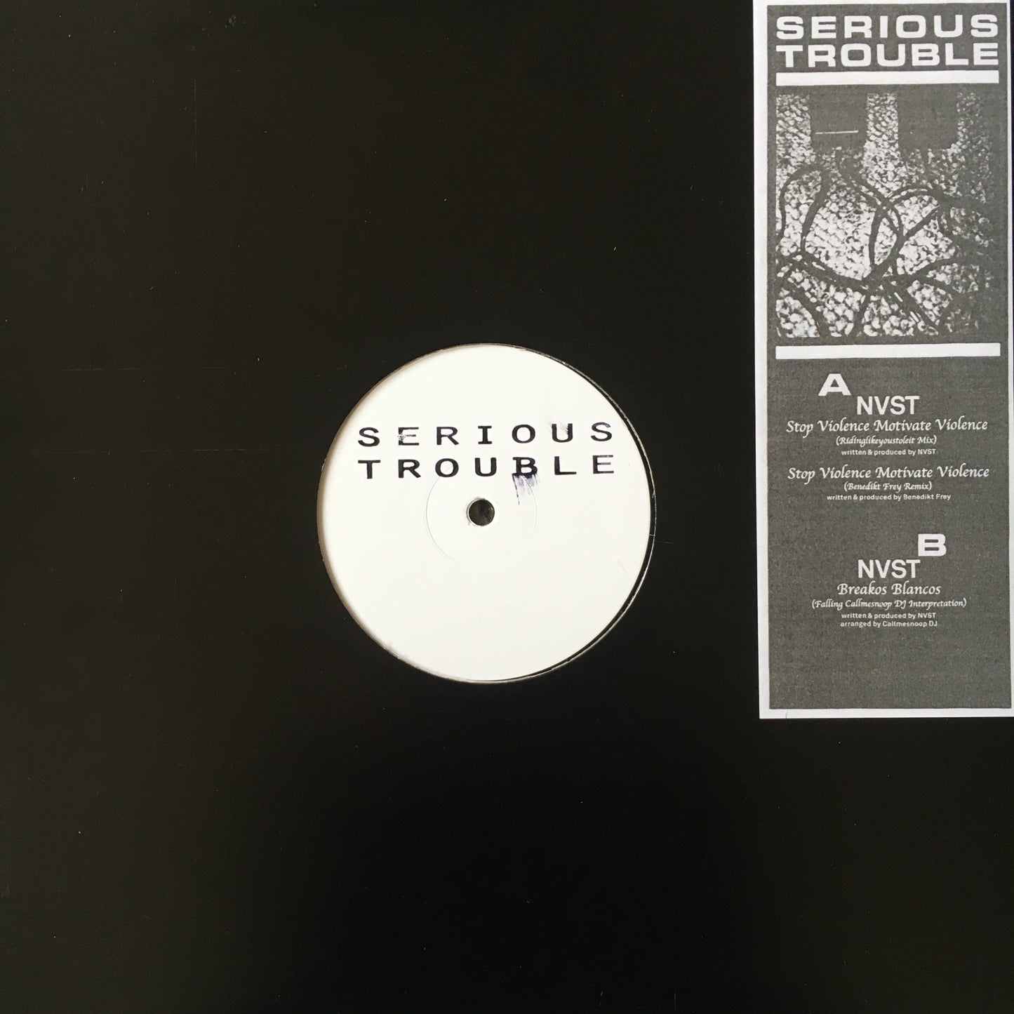 NVST - Stop Violence Motivate Violence