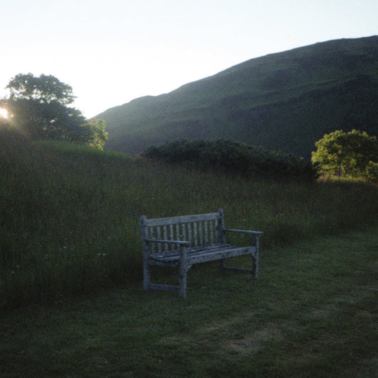 Pub - Do You Ever Regret Pantomime? [Repress]