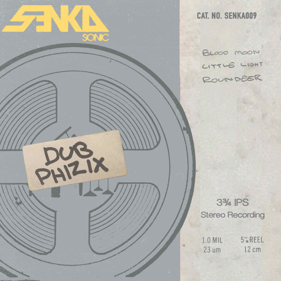 Dub Phizix - Senka009