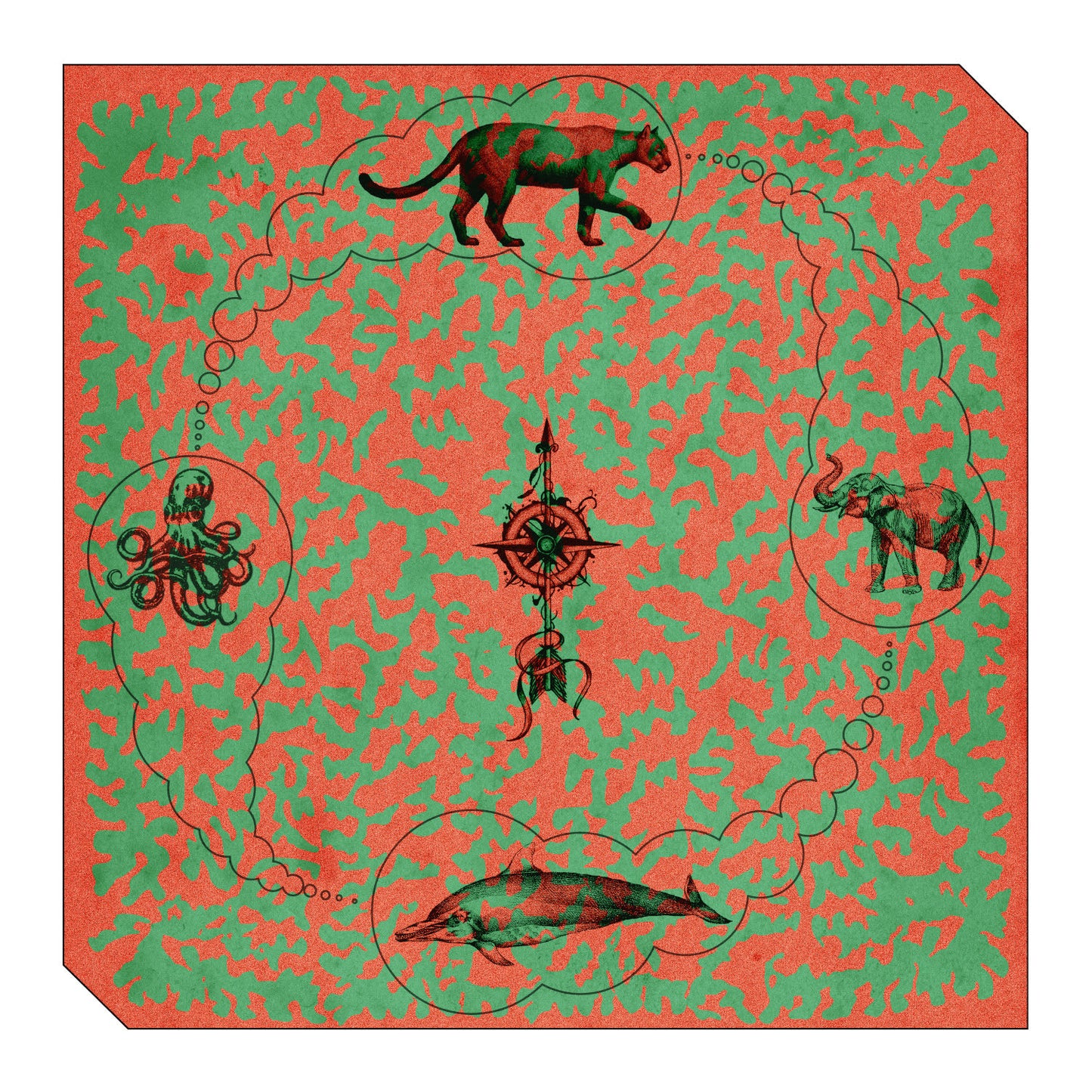 Puma & The Dolphin - Indoor Routine