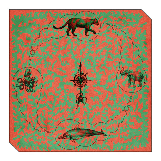 Puma & The Dolphin - Indoor Routine