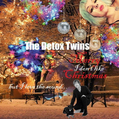 The Detox Twins -  I Don't Like Christmas (But I Love The Sound)