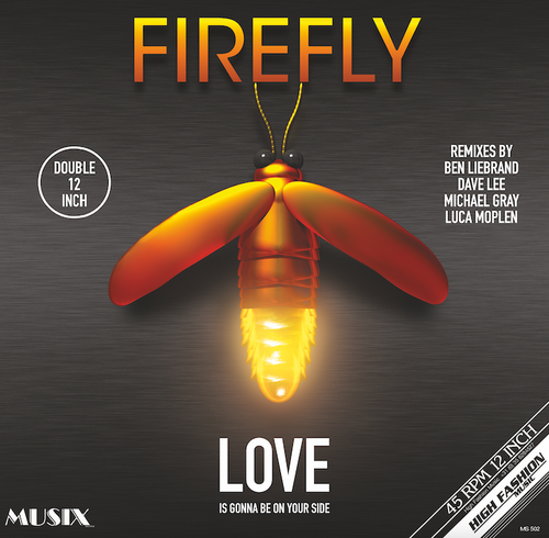 FIREFLY - LOVE IS IS GONNA BE ON YOUR SIDE (REMIXES) 2x12"