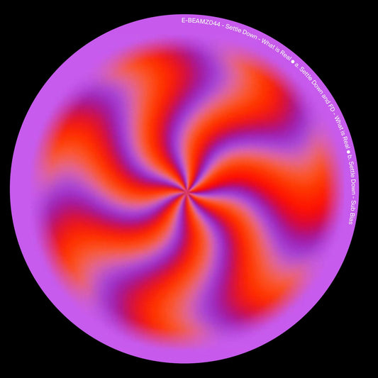 Settle Down - What Is Real / Sub Bias