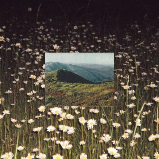 Sharp Veins - Lips The Same Color