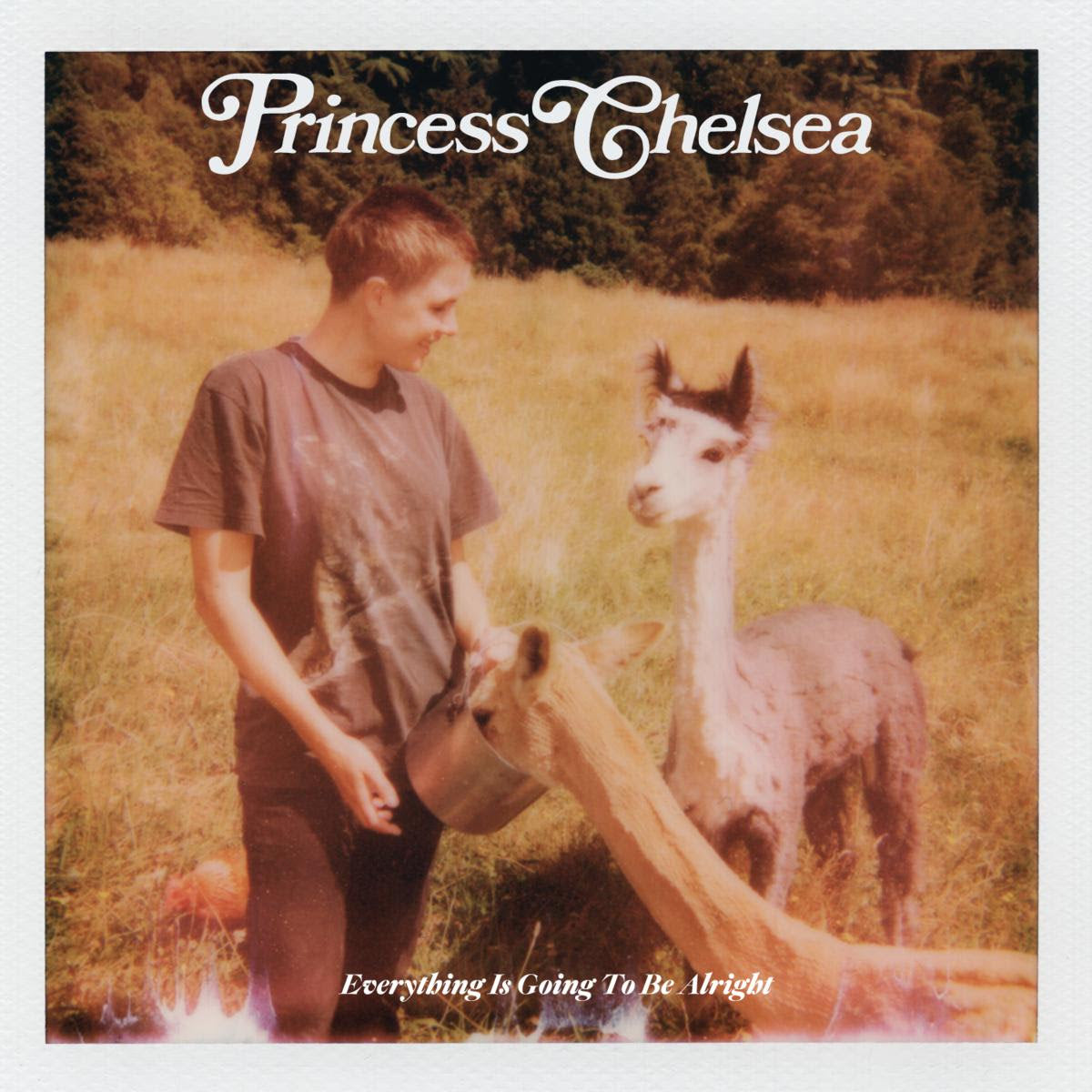 Princess Chelsea - Everything is Going to Be Alright [CD]