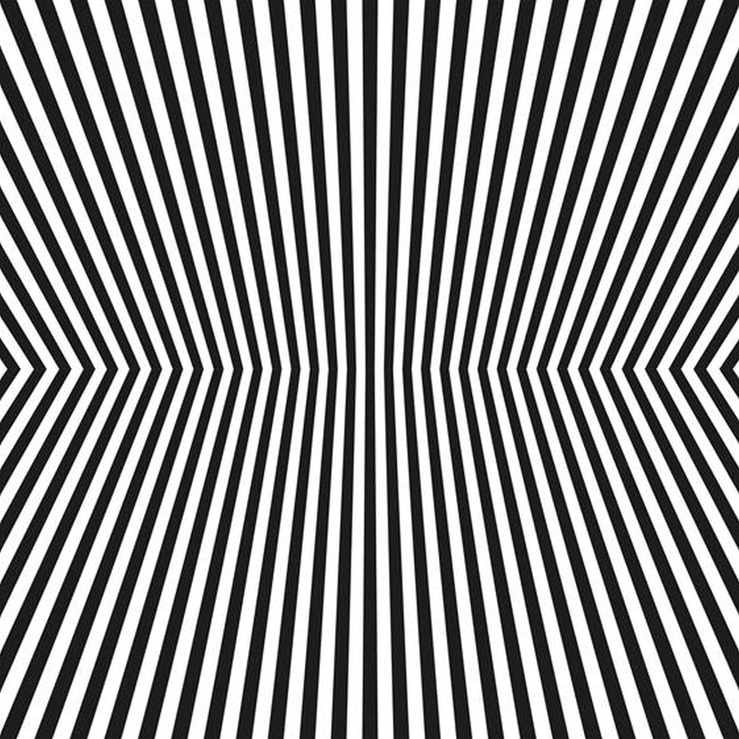 The Vacant Lots - Damage Control[2LP 180g White/Black Splatter]